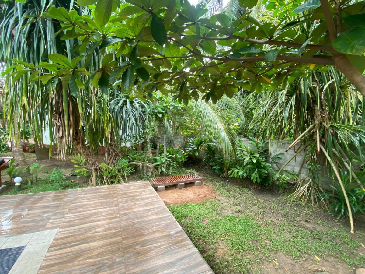Hidden Garden تانجالي المظهر الخارجي الصورة