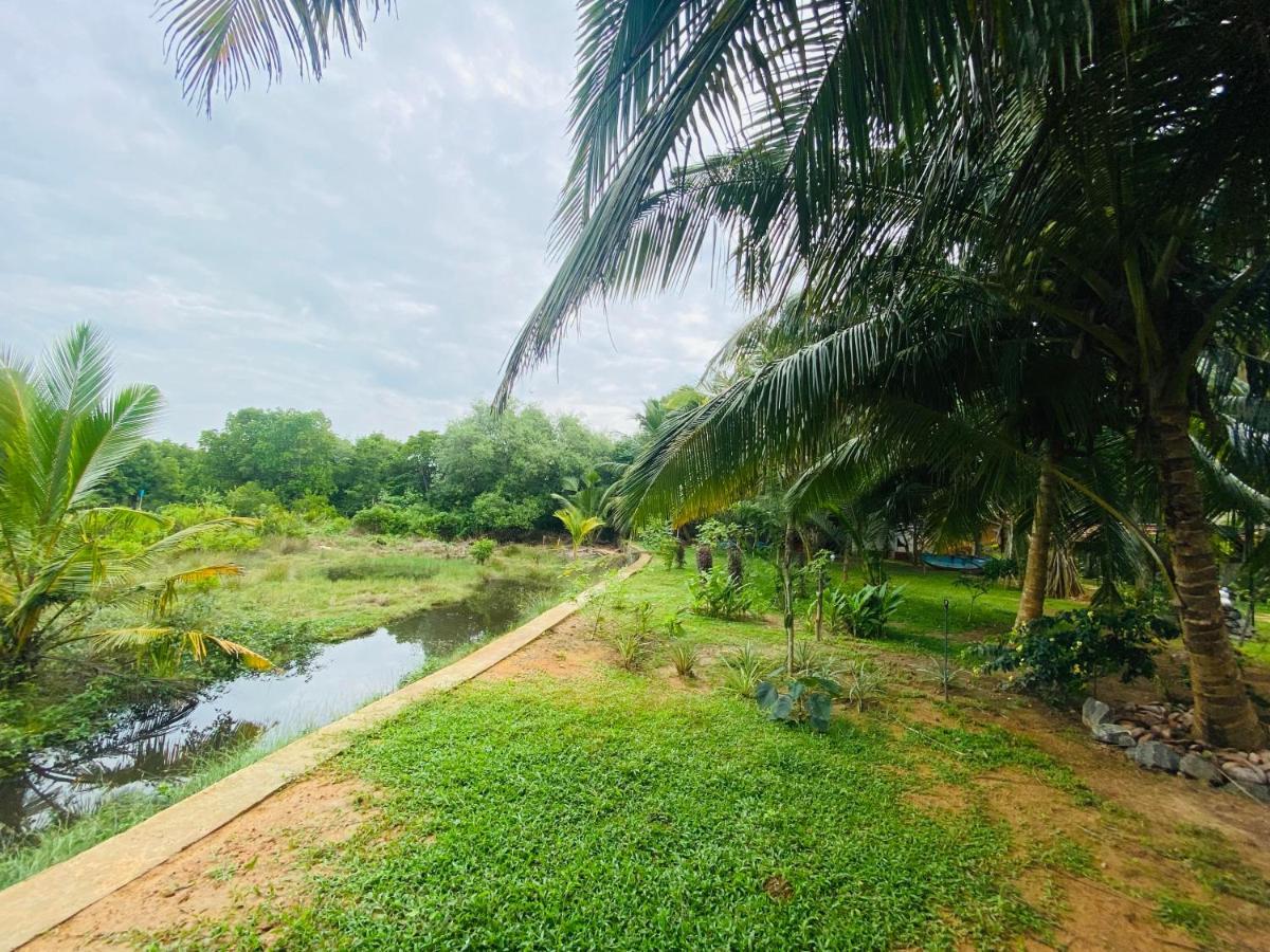 Hidden Garden تانجالي المظهر الخارجي الصورة