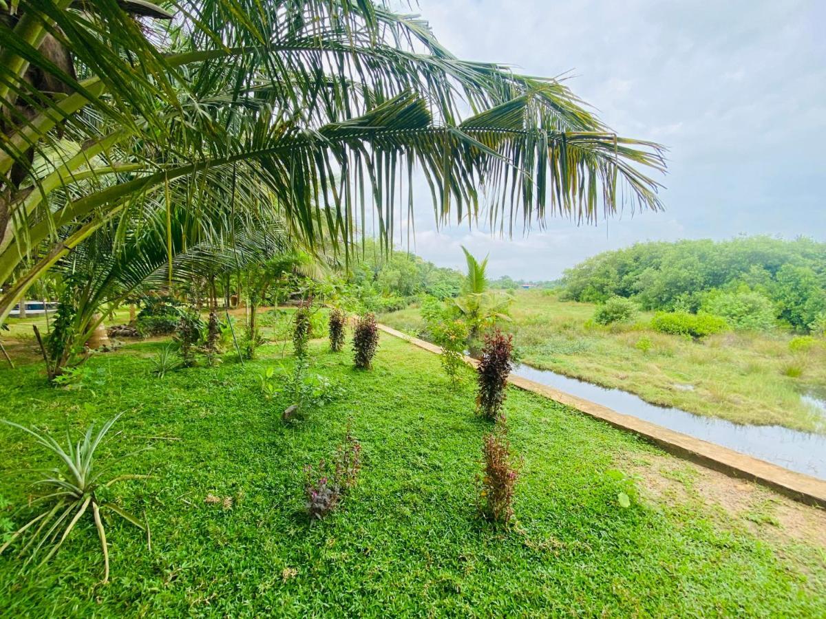 Hidden Garden تانجالي المظهر الخارجي الصورة