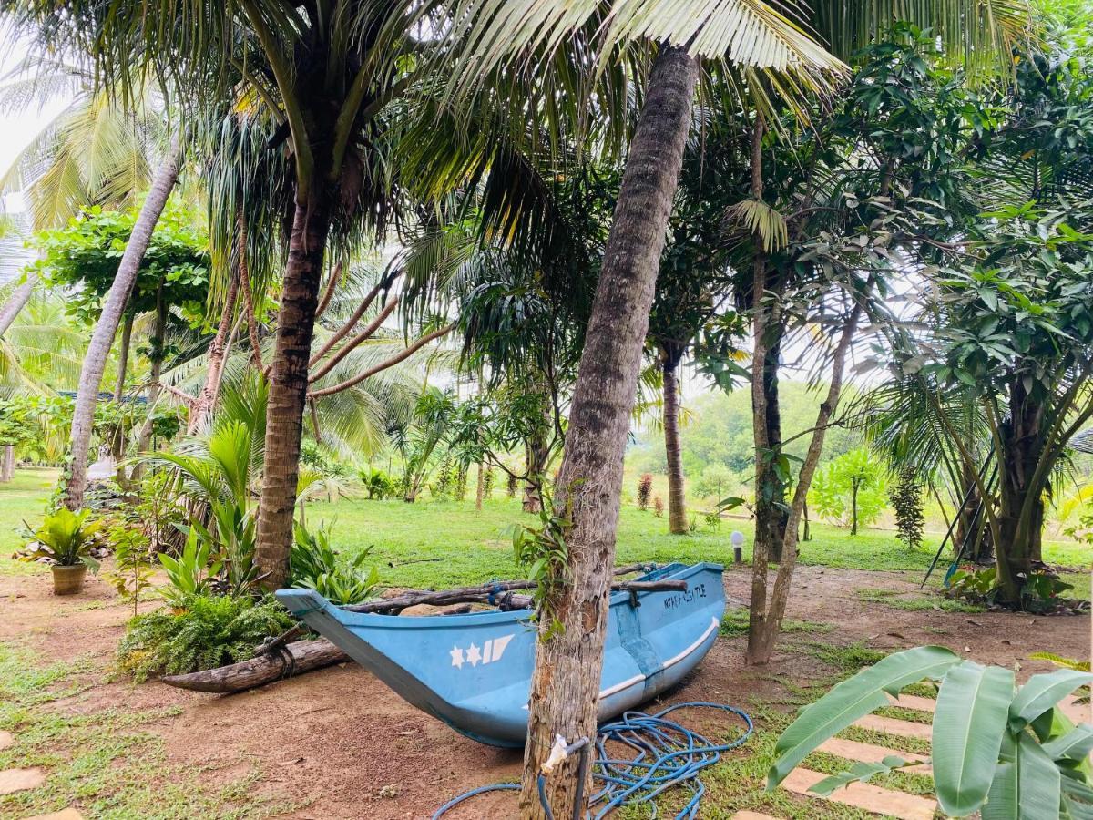 Hidden Garden تانجالي المظهر الخارجي الصورة