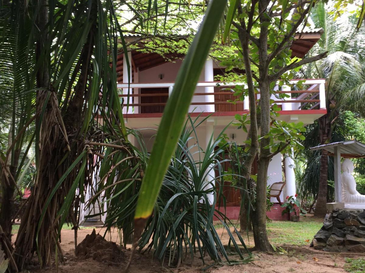 Hidden Garden تانجالي المظهر الخارجي الصورة