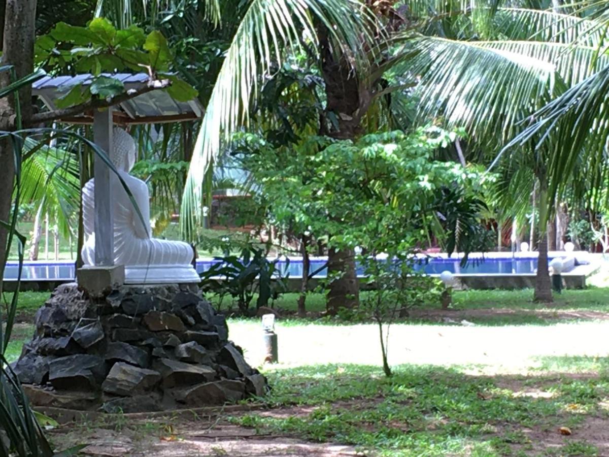 Hidden Garden تانجالي المظهر الخارجي الصورة